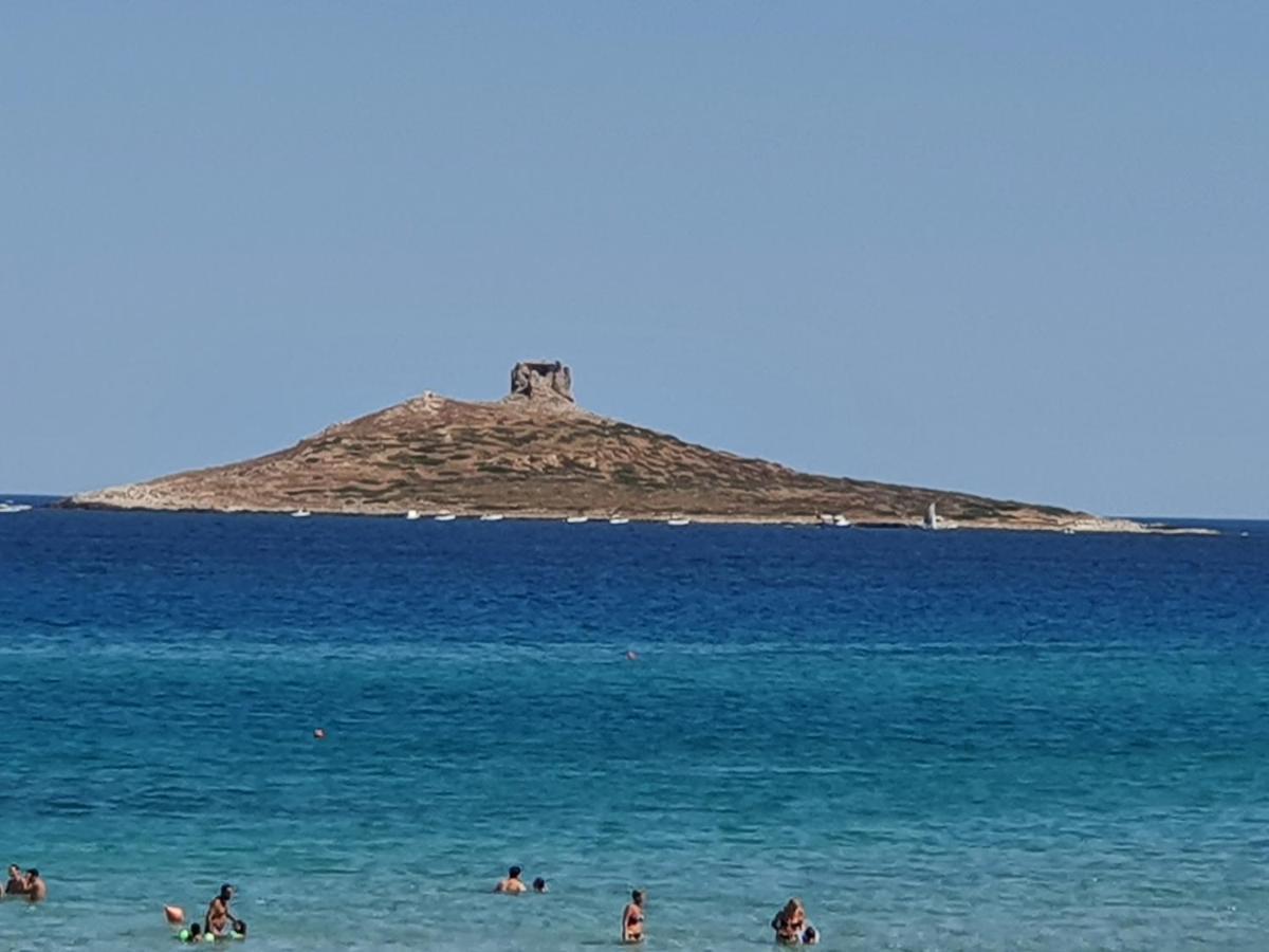 Casetta Delle Mimose Isola delle Femmine Eksteriør billede